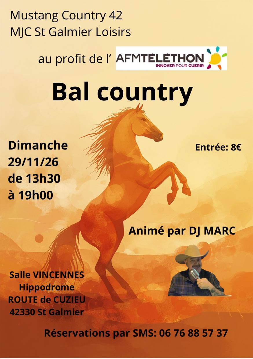 Affiche cheval 26